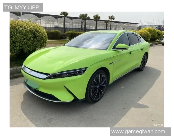 比亚迪汉与巴西足球明星携手共创绿色出行新篇章